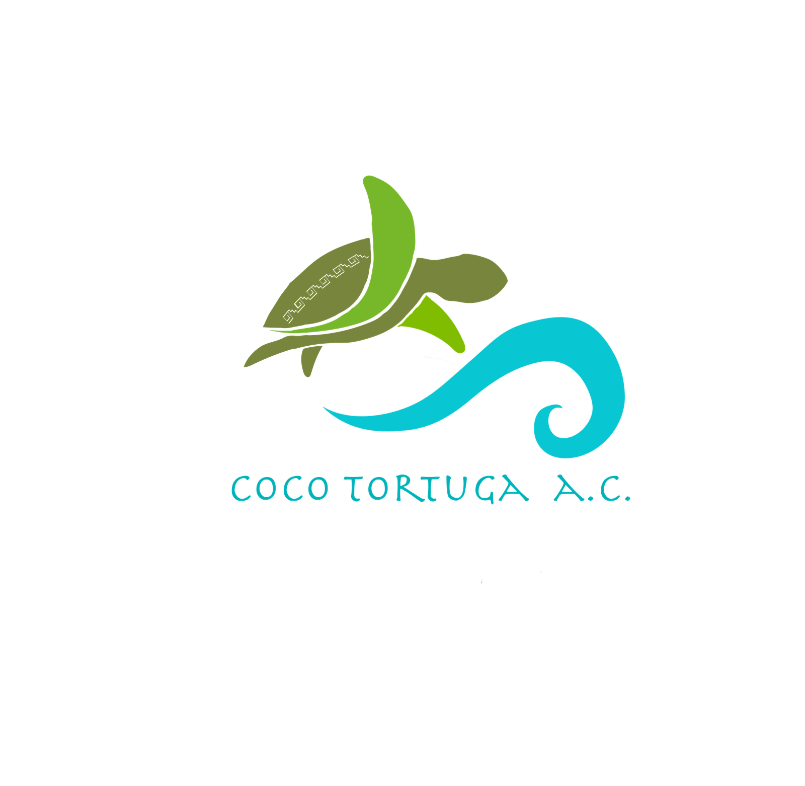 Coco Tortuga