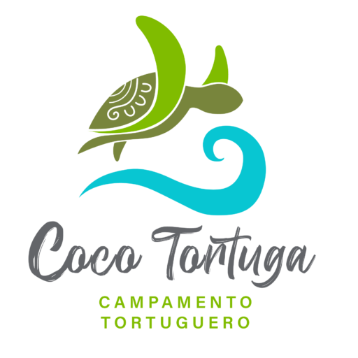 Coco Tortuga